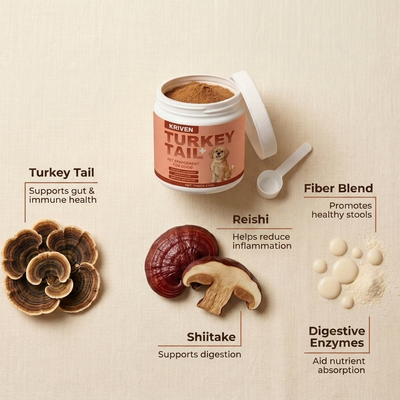 Senior Dog Support Powder