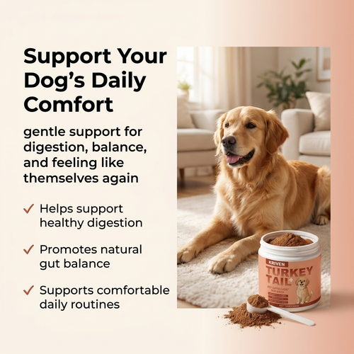 Senior Dog Support Powder